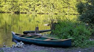 Chestnut canoe