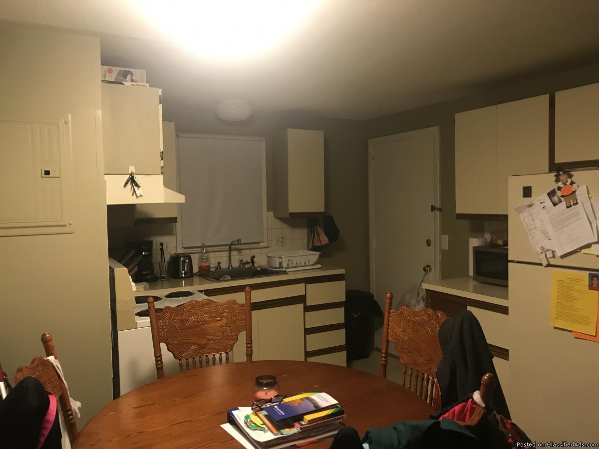 2 bedroom apartment