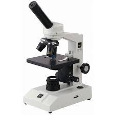 live cell imaging microscope