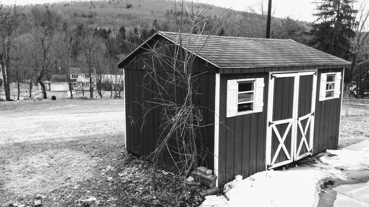 10' x 14' Storage Shed for sale