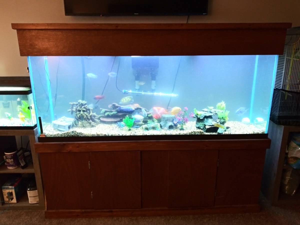150 gallon, stand, filter, led light bar, heater, rock, and