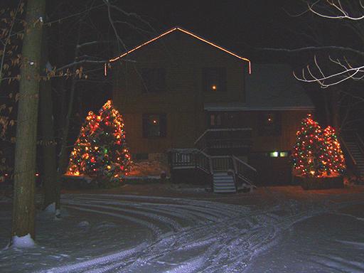 : BEAUTIFUL FIR CHRISTMAS TREES FOR SALE!