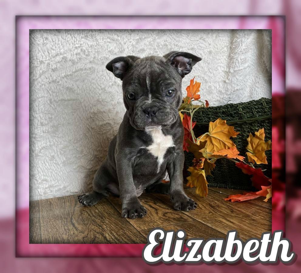 Elizabeth Female Frenchton