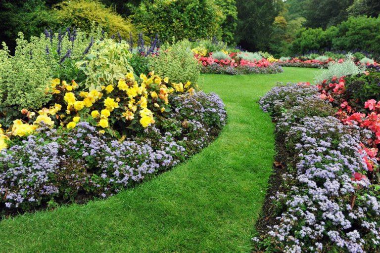 Professionals for Landscaping in Richmond Hill