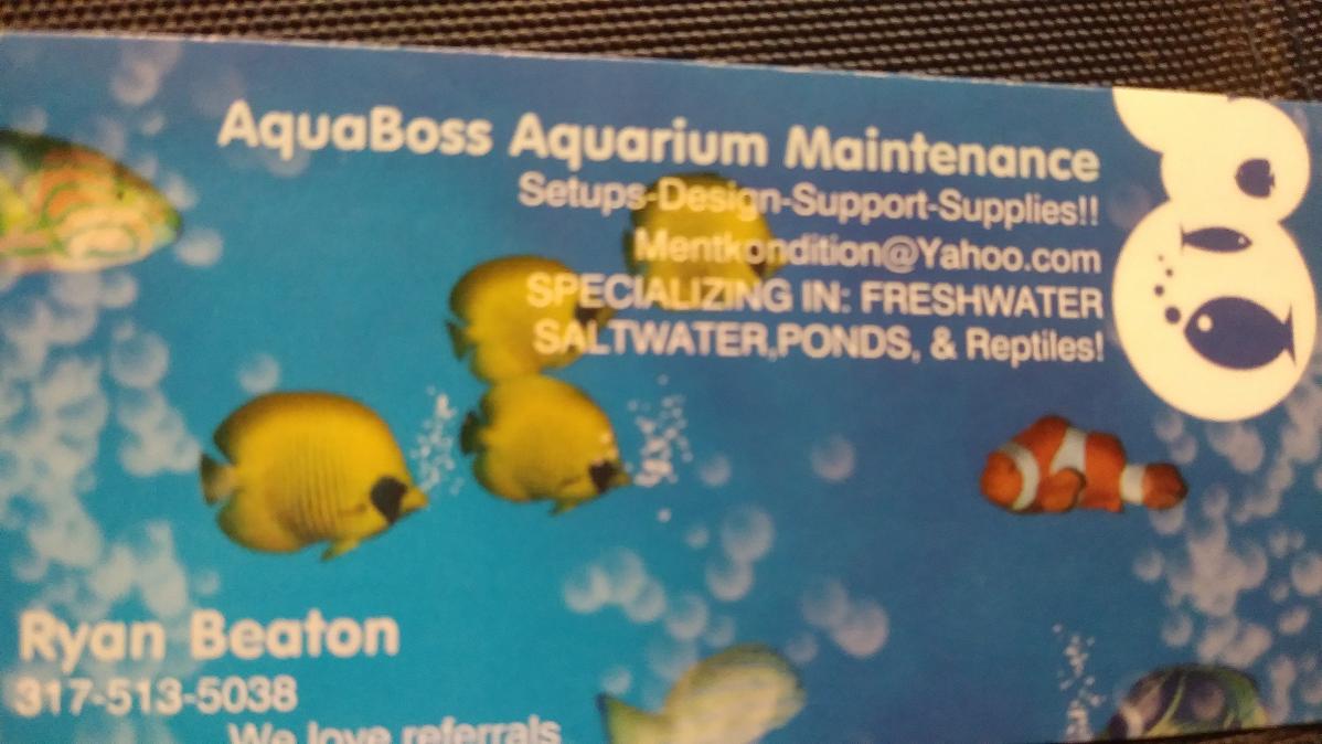 Aquarium Tech to Maintenance your Aquarium.!