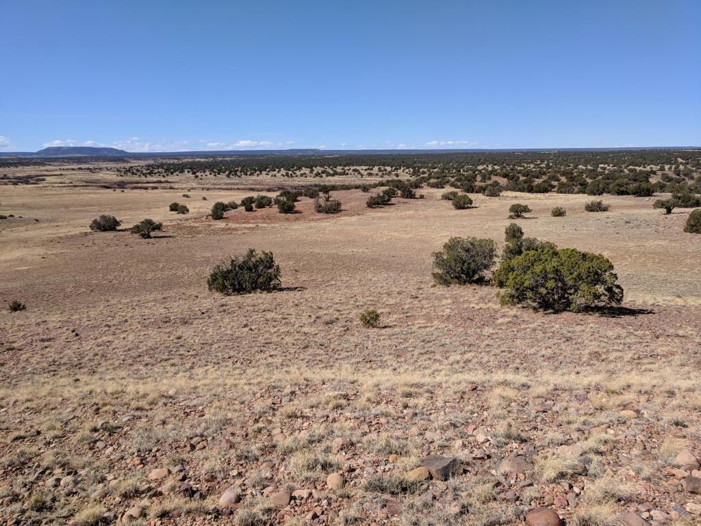 0.43 Acres for Sale in Concho, AZ