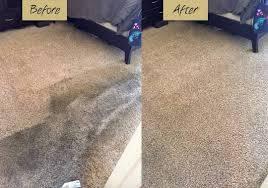 Carpet cleaning steam cleaning
