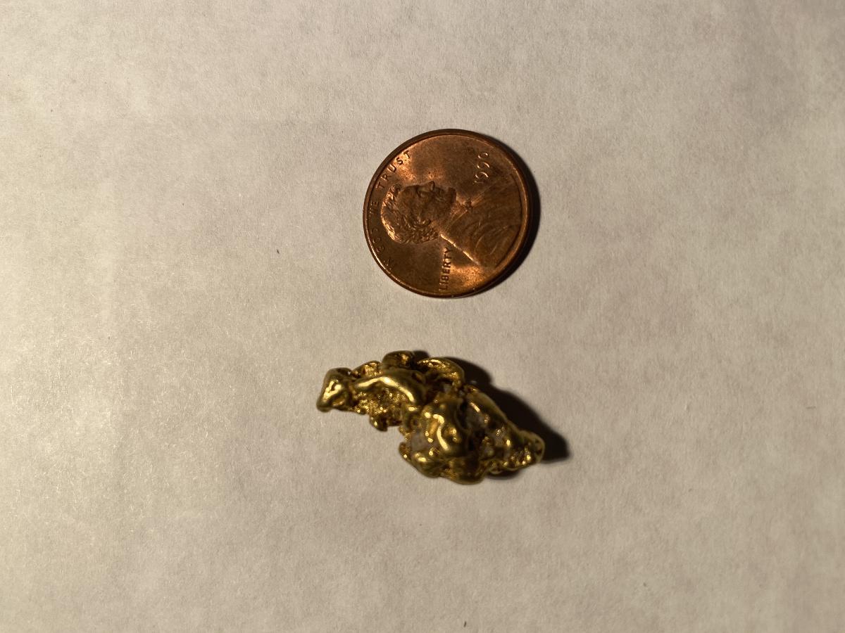 Alaskan Gold Nugget