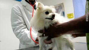 Reliable Animal Veterinary Clinic in Etobicoke, ON | Best