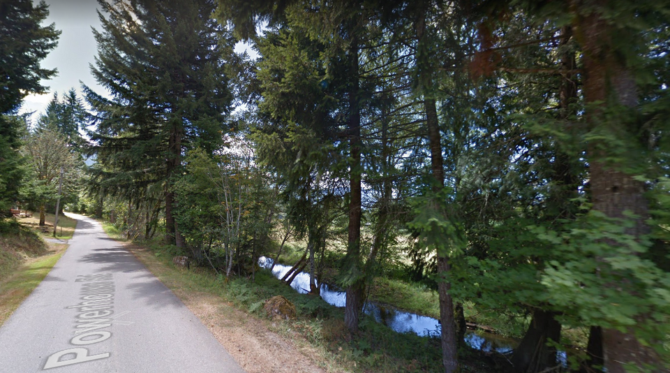 .11 Acres of Residential Land For Sale In Packwood, WA