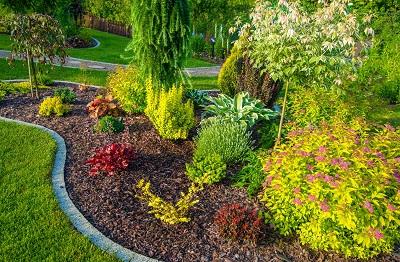 Find the best Landscaping Service in Cottonwood