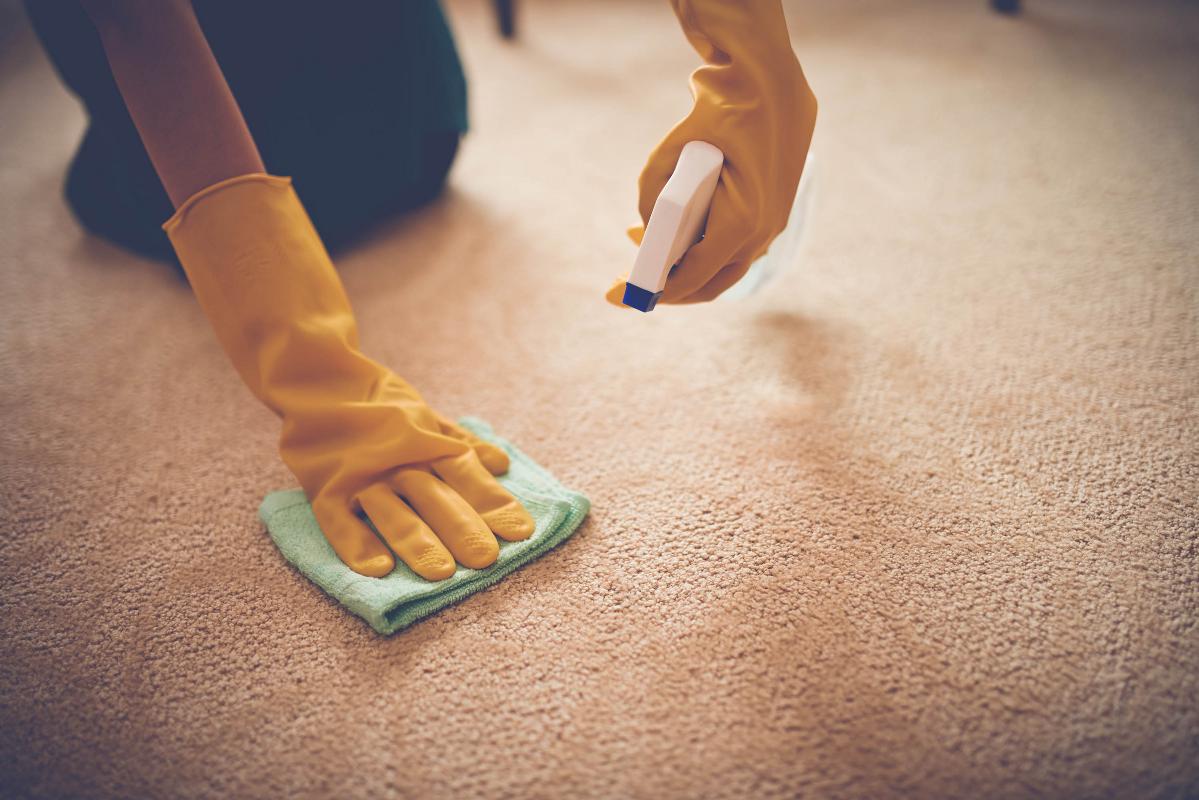 Professional Carpet Cleaning Calgary, Alberta