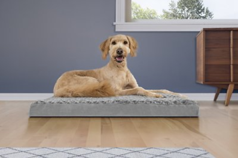 FurHaven NAP Deluxe Memory Foam Pillow Dog Bed w/Removable