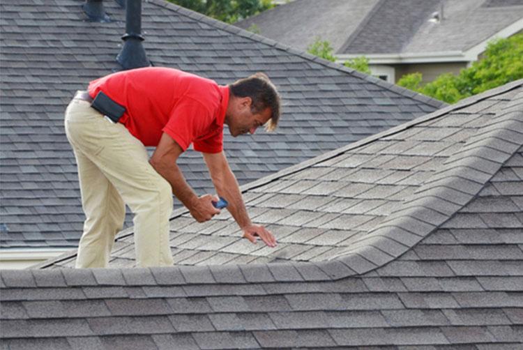 Roof Inspection Services | The Roofers