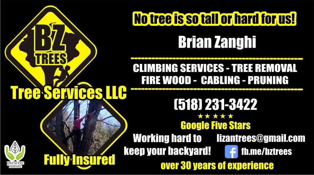 BZ Trees Service ESSENTIAL TO KEEP YOUR HOME SAFE!!!