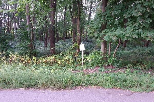 COMSTOCK PARK, MICHIGAN WOODED WATERVIEW LOT ON GRAND RIVER