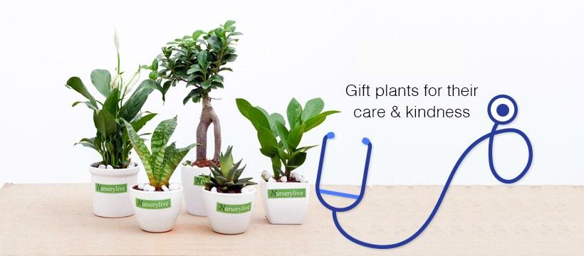 Finest artificial plant