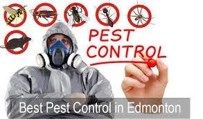 Edmonton Exterminator Company | Pestcontrolexperts.ca