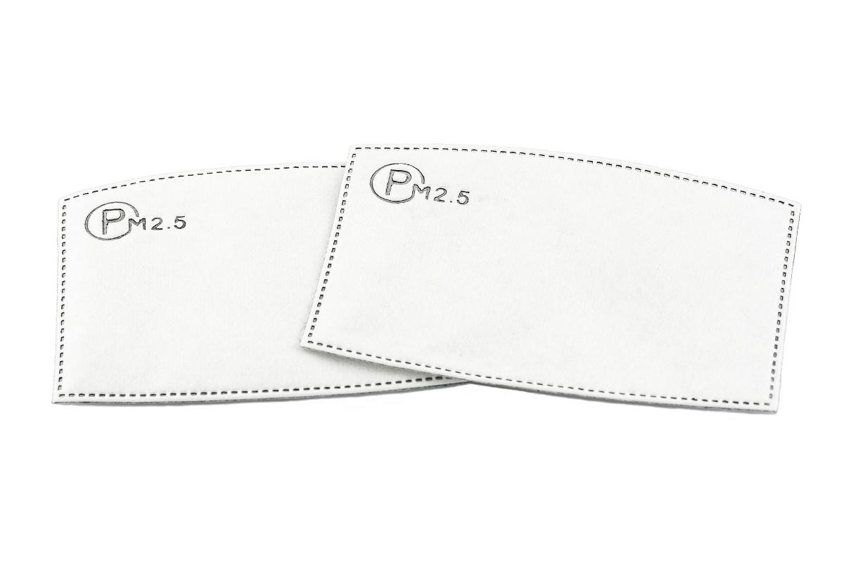 Get PM2.5 Filter Online for Replacement