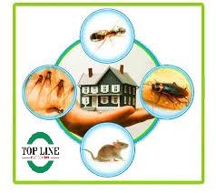Pest Control Service In Langley | Top Line Pest Control