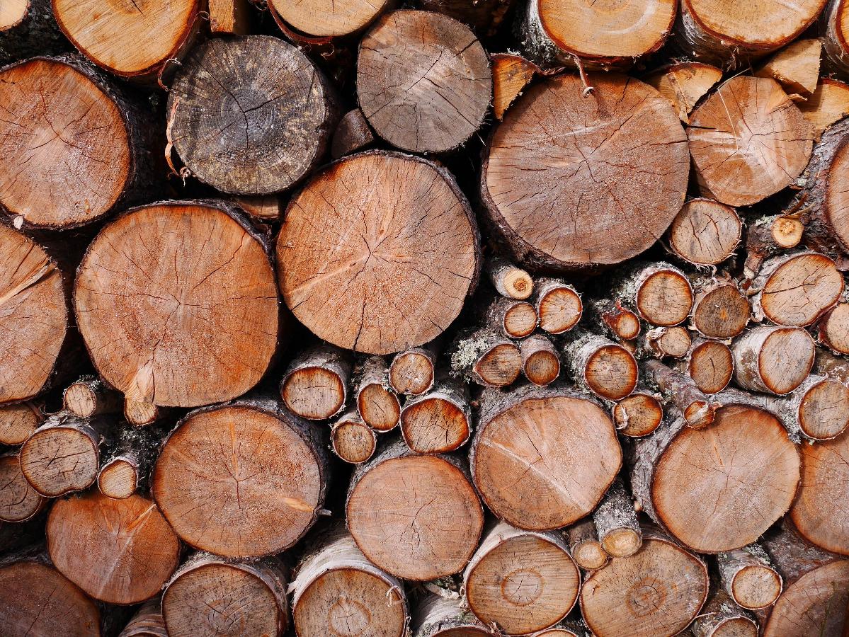 Best Seasoned Firewood For Sale!