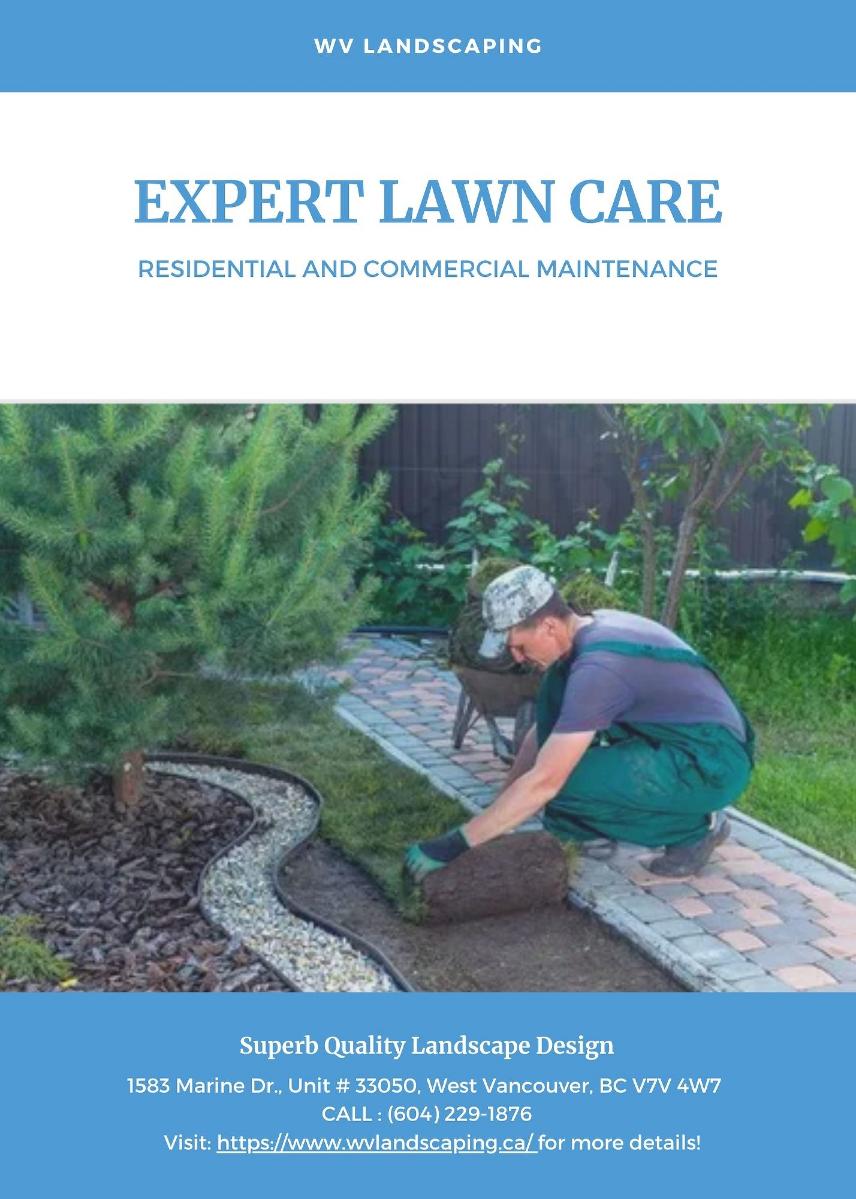 Expert Lawn Care Services in Vancouver