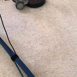 Professional Carpet Cleaners Edmonton | Maple Leaf Carpet