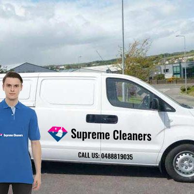 Professional Carpet Cleaning Adelaide, Carpet Steam Cleaner