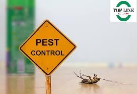 Rat control services surrey | Pest Control Service