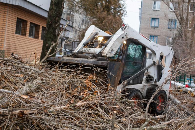 Get Emergency Tree Removal Service