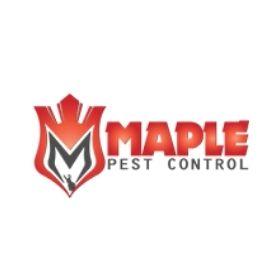 Bed Bugs | Pest Control & Removal in Brampton