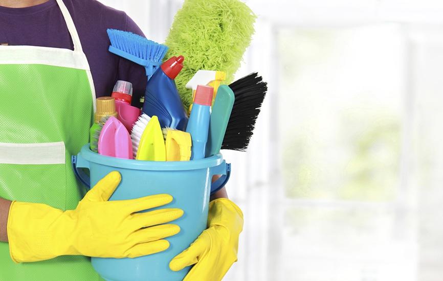 Book Domestic Cleaner in your House in Bonney Lake