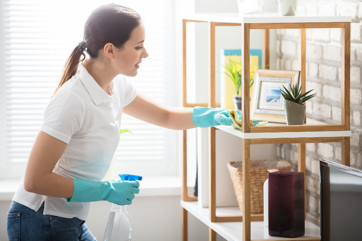 Expert Maid in Puyallup