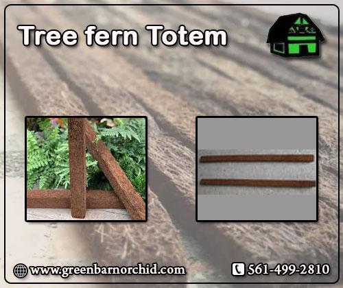 Excellent moisture retention Tree fern Totem for orchid
