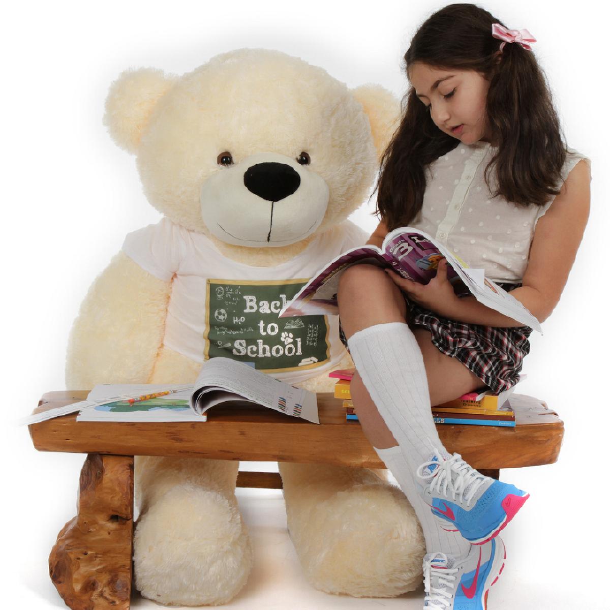 Buy School Teddy Bear