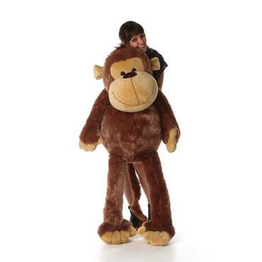 Find Stuffed Monkey Toy