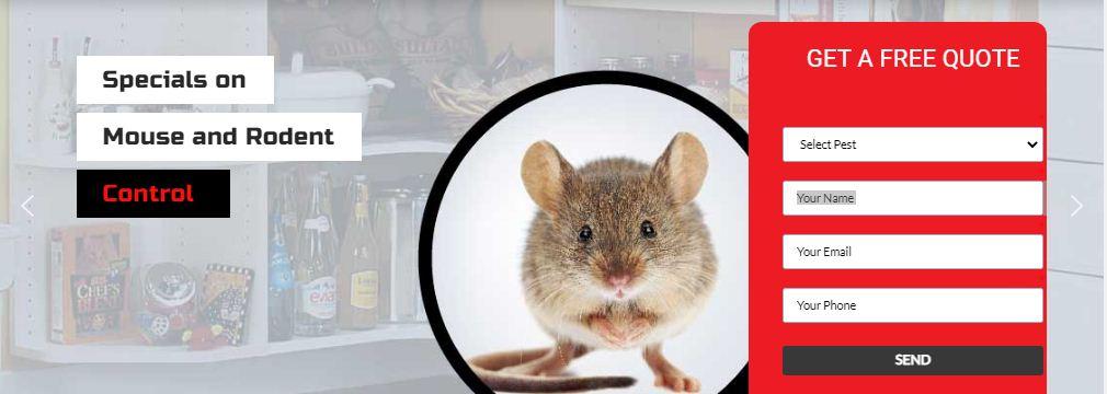 Hire Pest Control In Mississauga