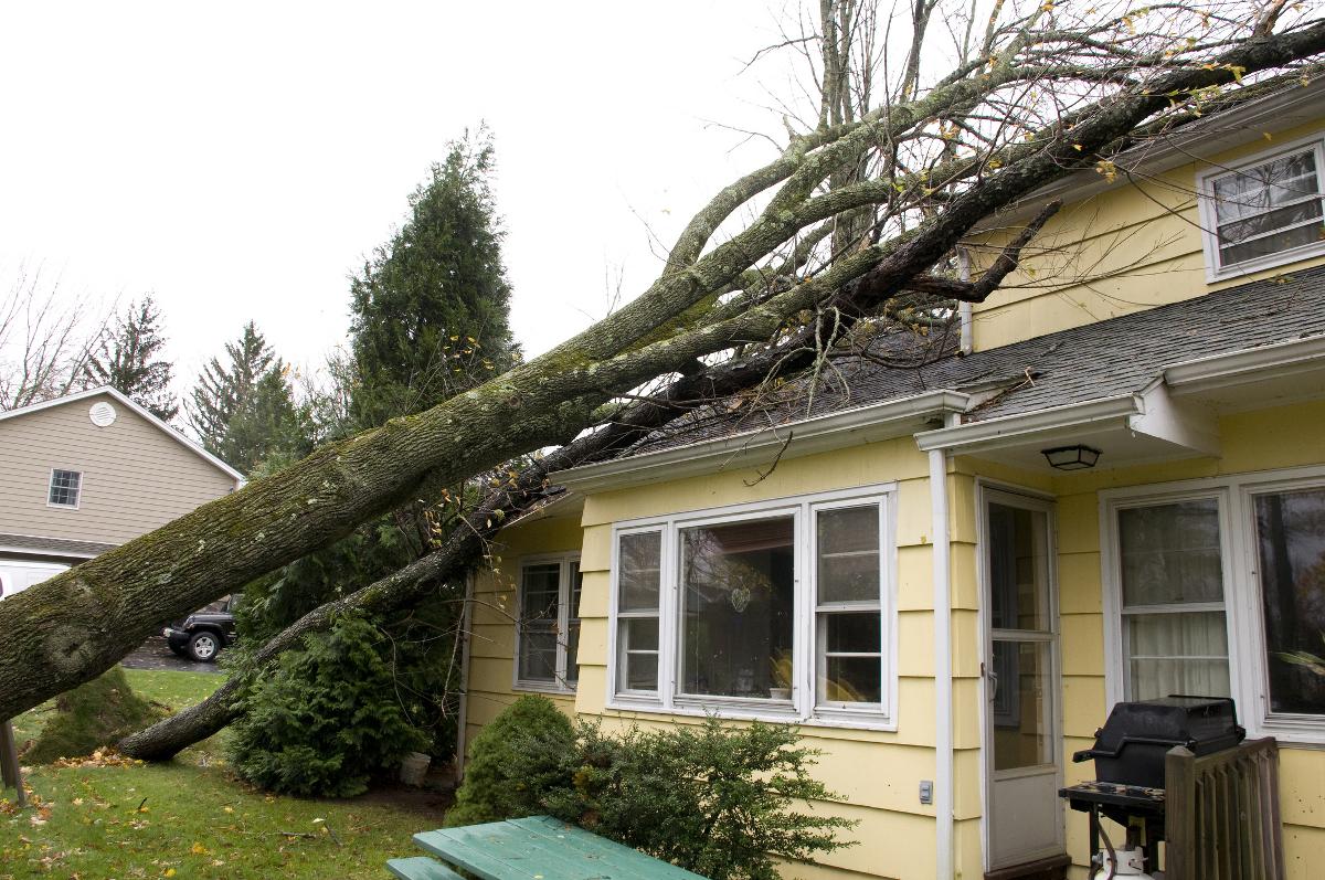 Storm Damage Roof Repair Services in Omaha | D&M Roofing