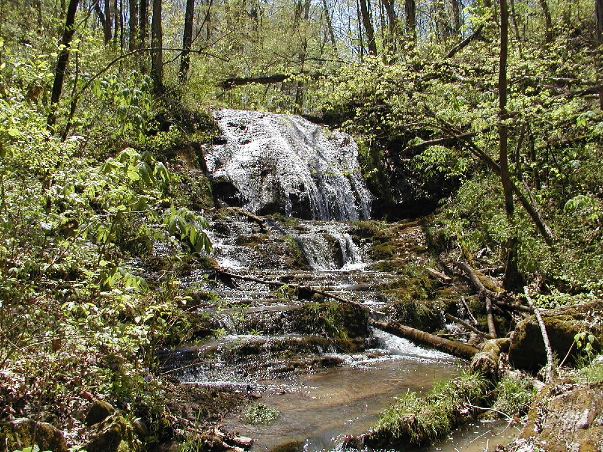 WATERFALL ON 1.5 ACRES