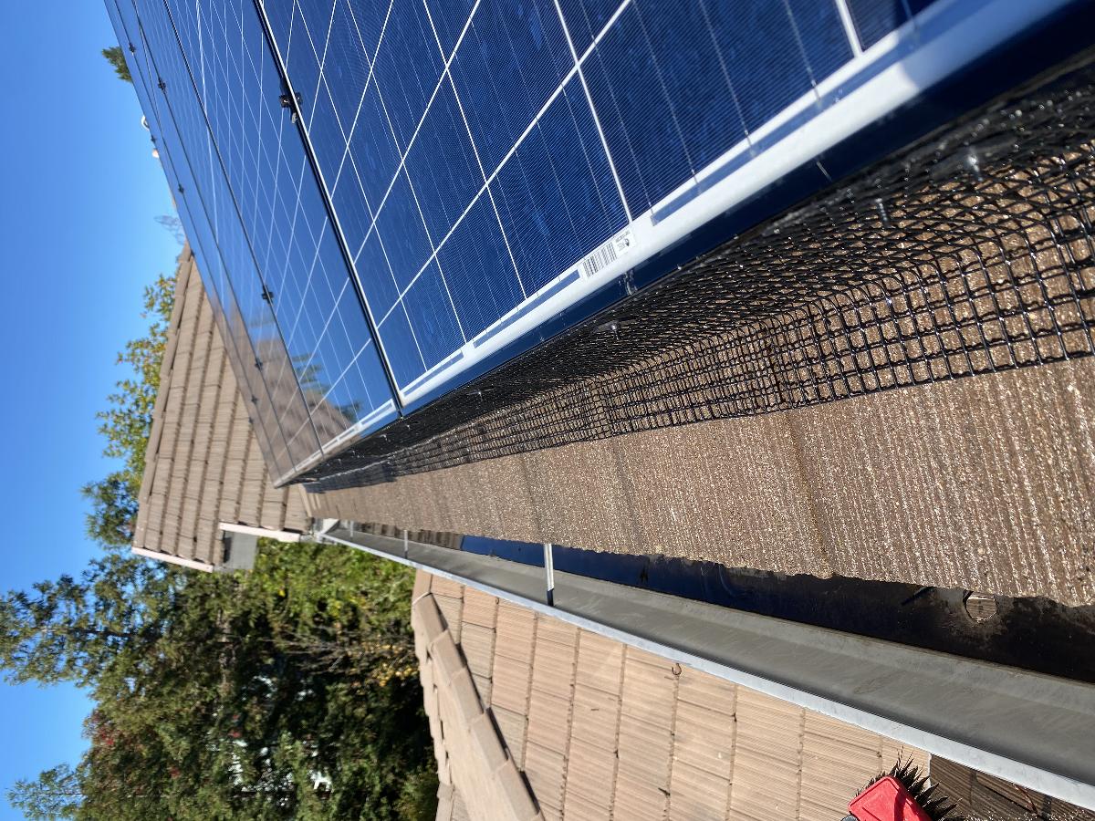 Solar Panel Cleaning Solar Panel Pigeon Proofing