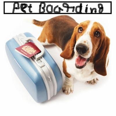 Vera's Posh Paws-OKC| Professional Pet Boarding.