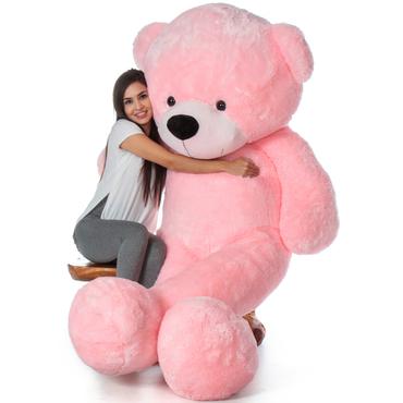 Find Pink teddy bear | Giant Teddy