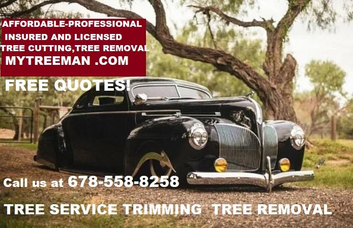 My Tree Man Tree Service now offers its tree removal
