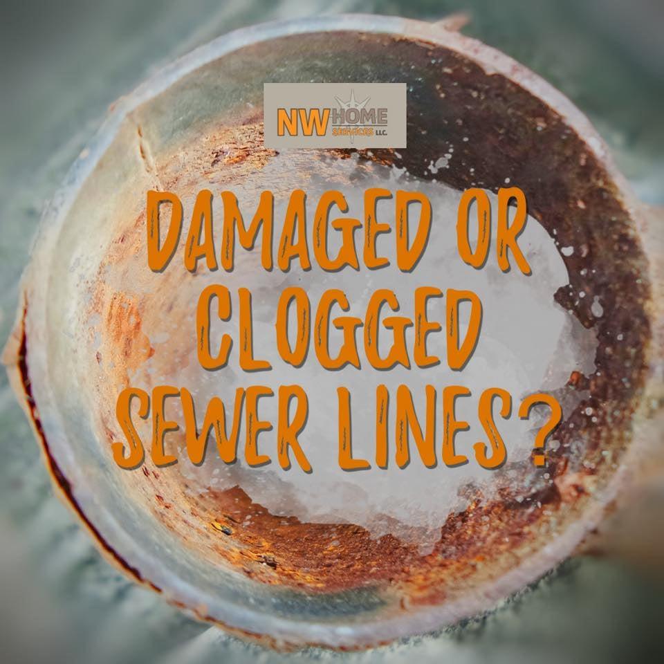 Clogged Drain Cleaner