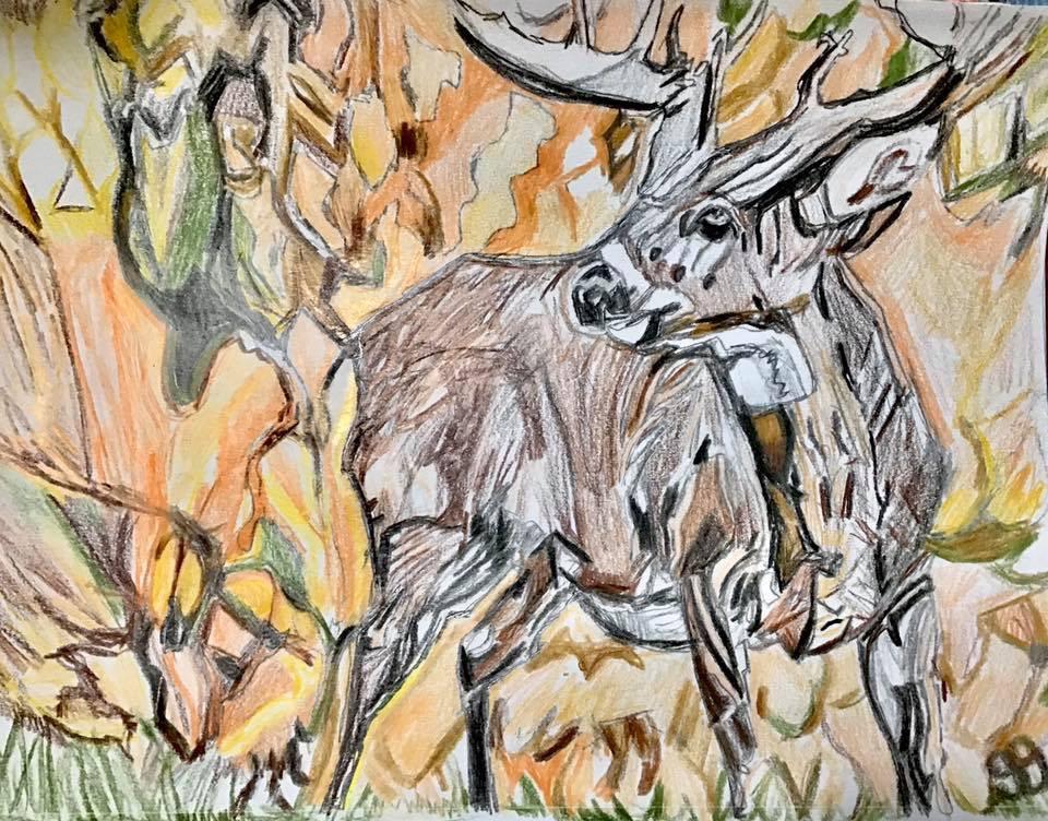 Nice Big Buck Art In Autumn Field GG – 9” x 12”