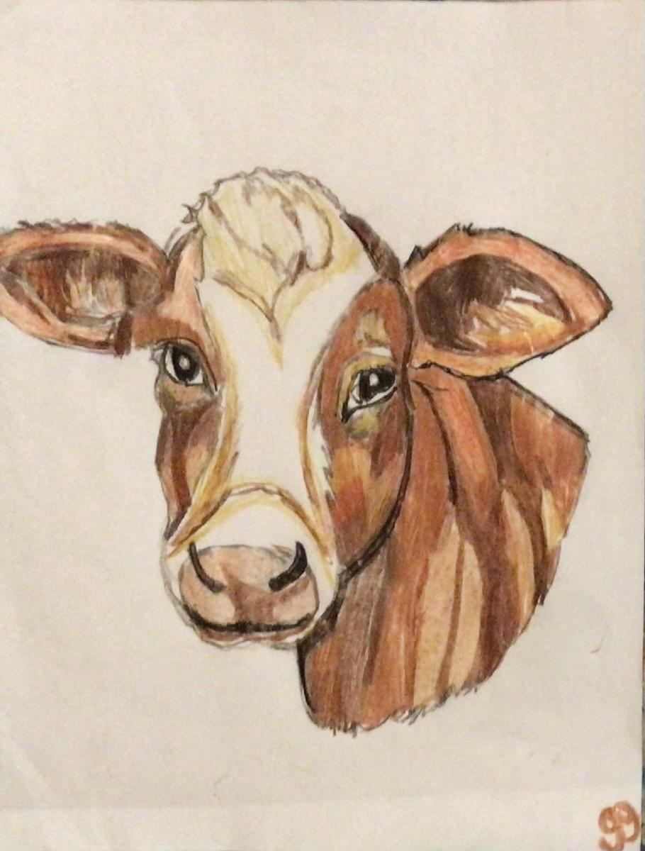 Fall Cow GG – 8” x 11” Colored Pencil