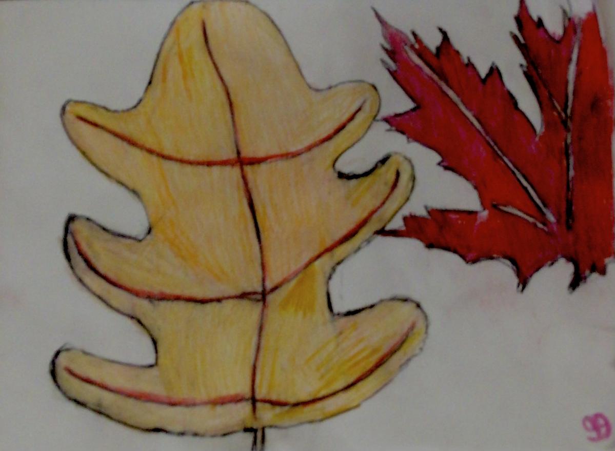 Autumn Fall Leaves 25 GG – 9” x 12” Colored Pencil
