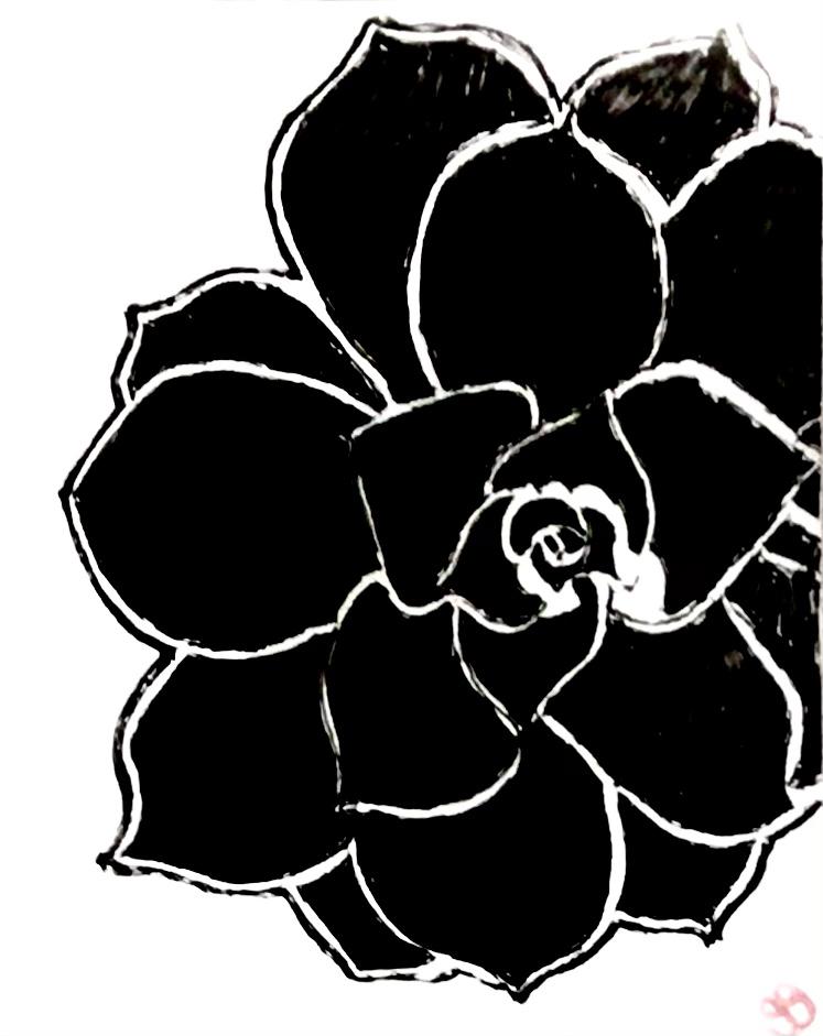 Black & White Succulent GG – 8” x 11” Art Ink