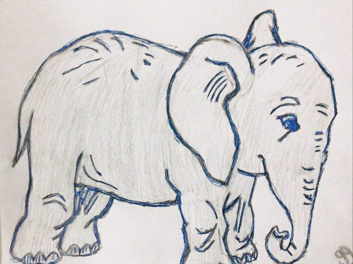 Elephant Art 2 GG – 8″ x 11″ Colored Pencil