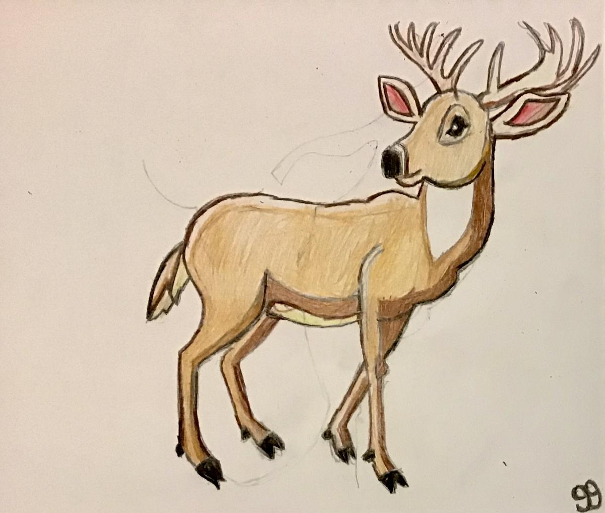 Original Female Deer Art By GG – 9” x 12” Colored